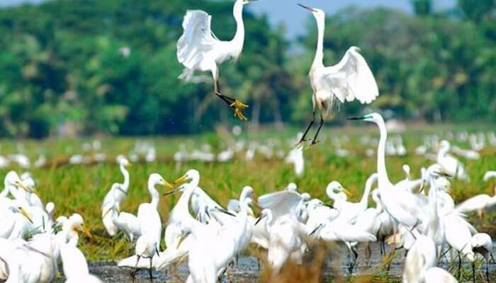 Oceana Hills Residency Hotel Alappuzha Buitenkant foto