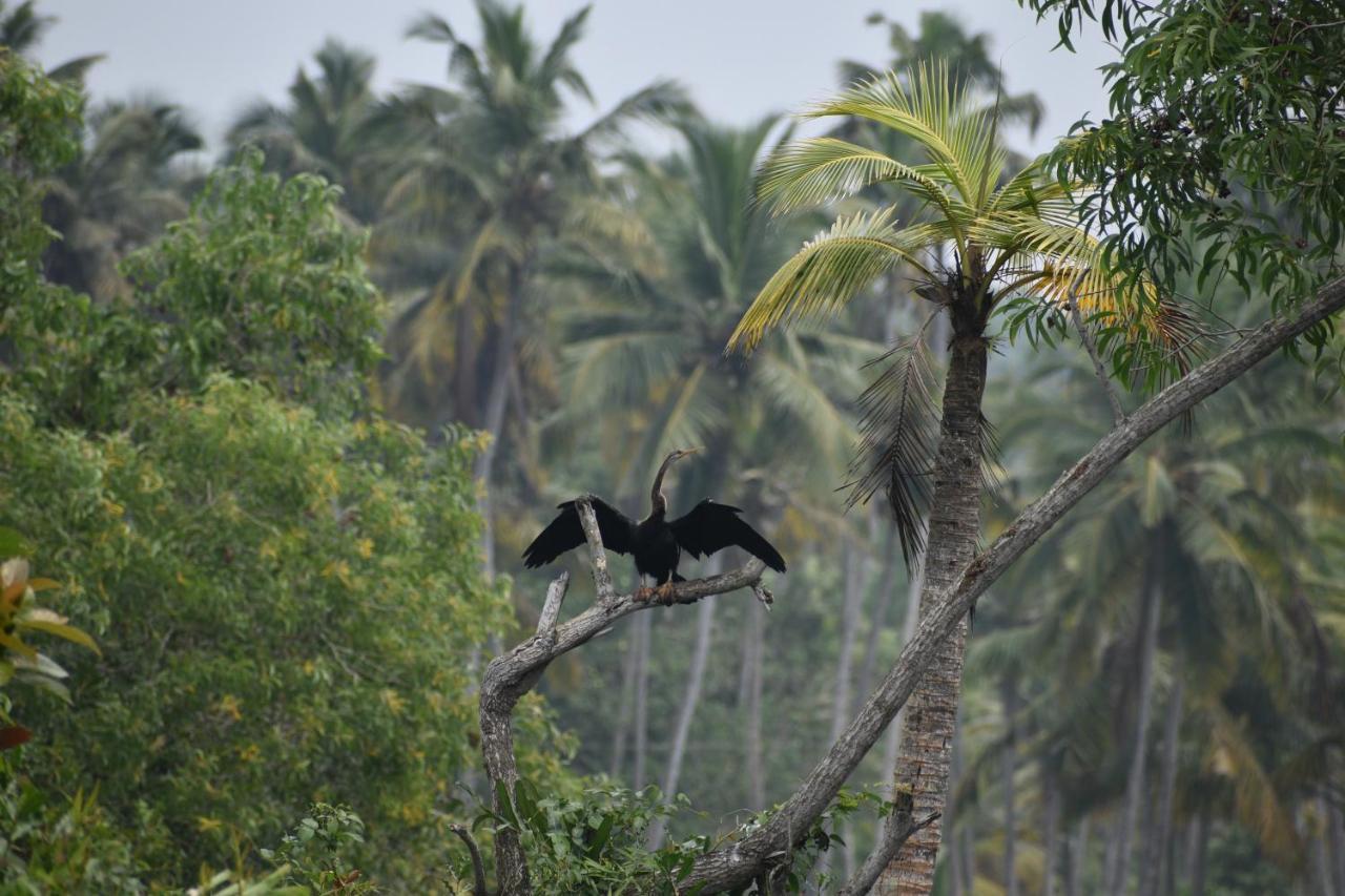 Oceana Hills Residency Hotel Alappuzha Buitenkant foto